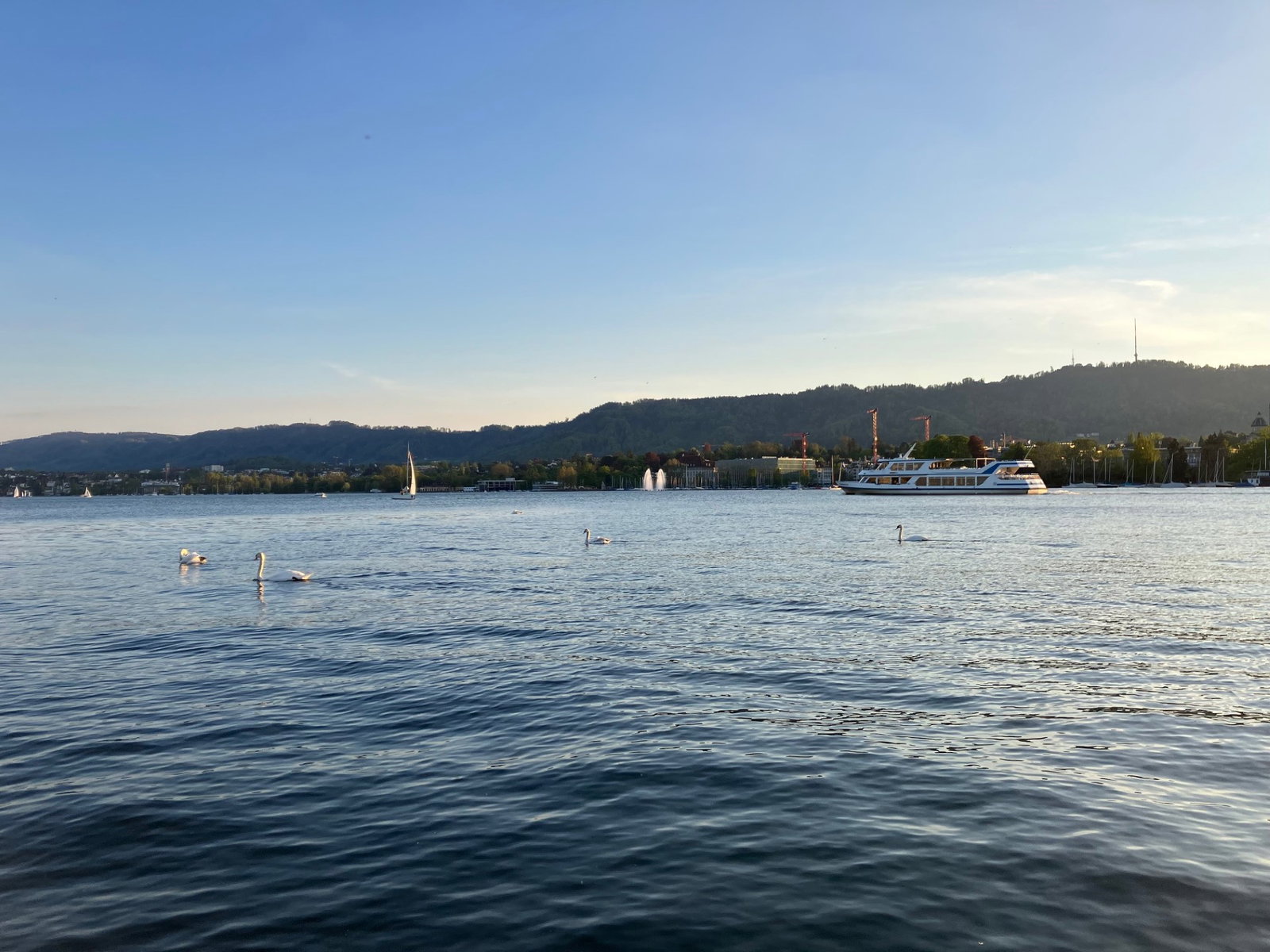 Hemvistelse Thalwil 662841