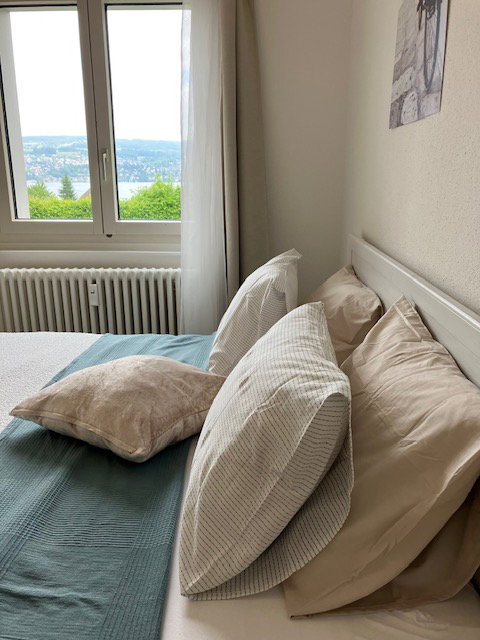 Hemvistelse Thalwil 662841