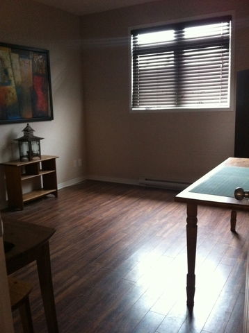 Colocation Gatineau  32072