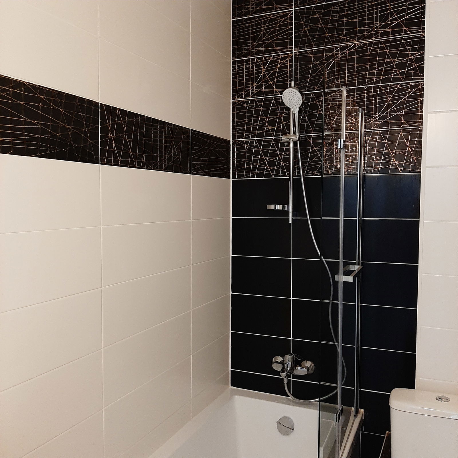 Colocation Annemasse 412936