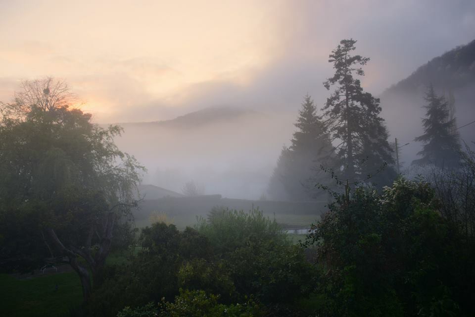 Hjemmeophold Estadens 82952