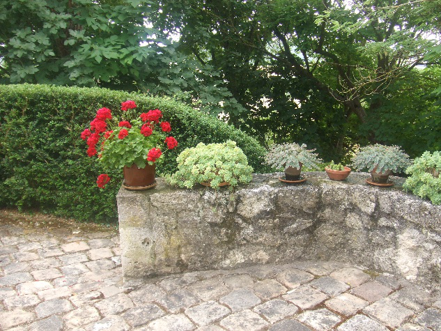 Cały Dom Blaymont 167876-1