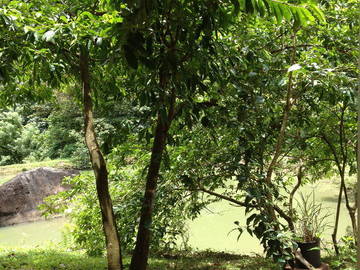 Chambre D'hôte Le Morne-Vert 36546-8