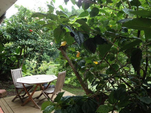 Bed And Breakfast Le Morne-Vert 36546