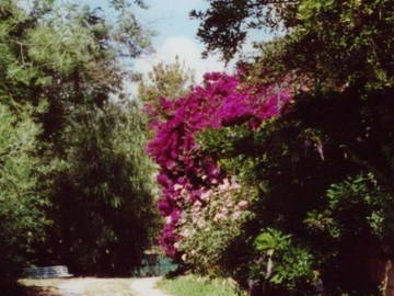 Logement Entier Alata 163824-8