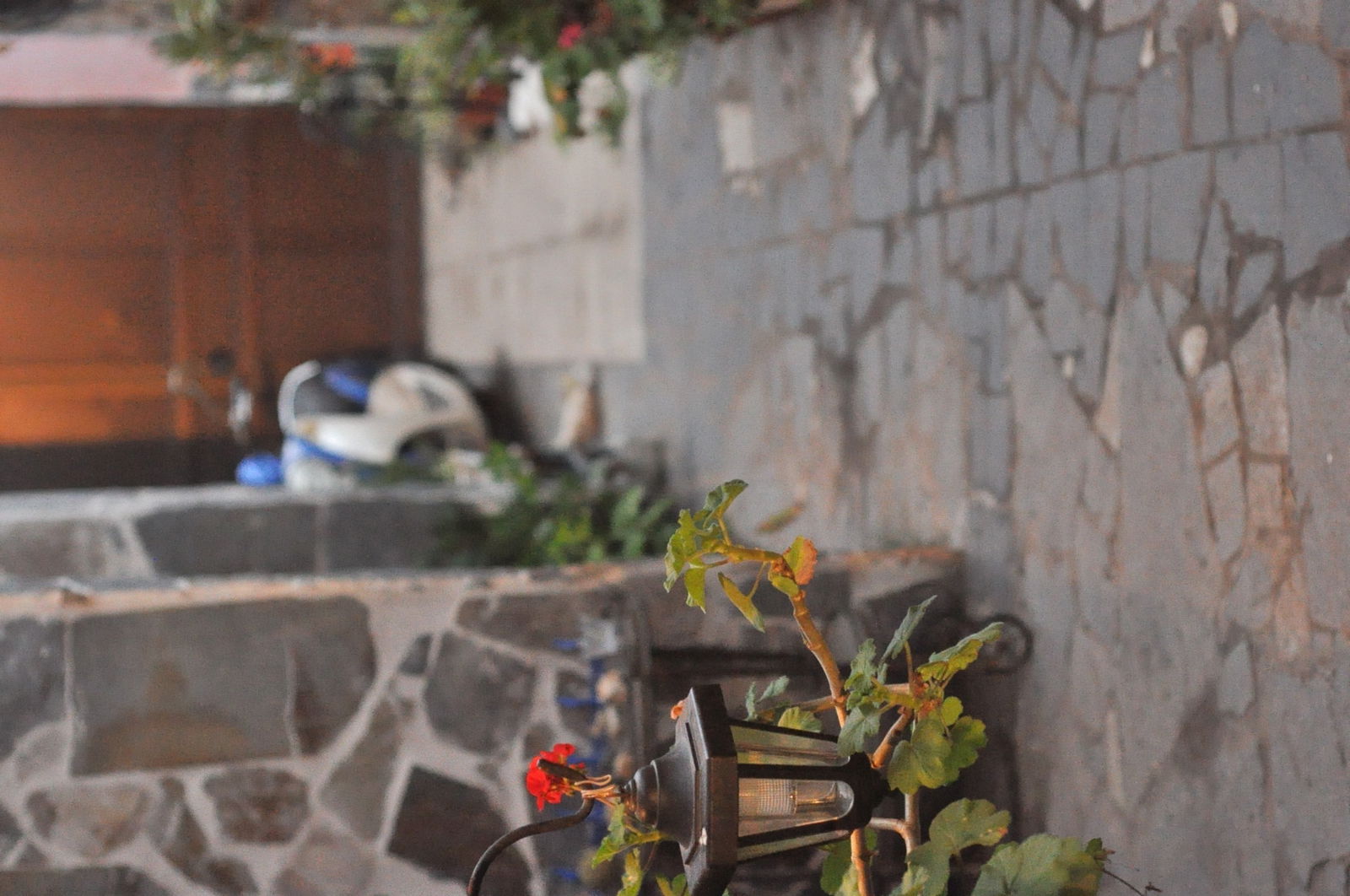 Homestay Los Silos 101935