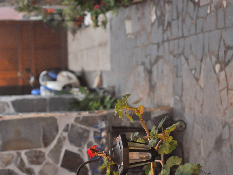 Chambre Chez L'habitant Los Silos 101935-3