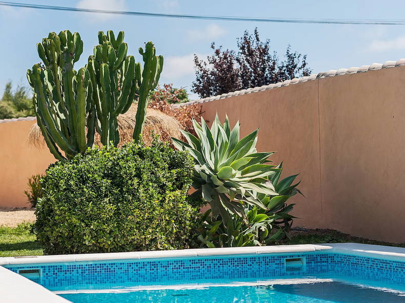 Ganzes Haus Conil de la Frontera 229208-2