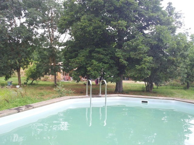 Kolokasie Carbonne 54196