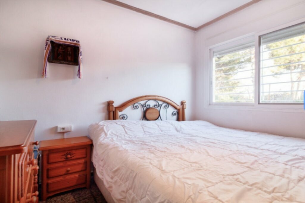 Kolokasie València 246798