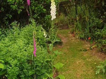 Homestay Ryde 534587-11