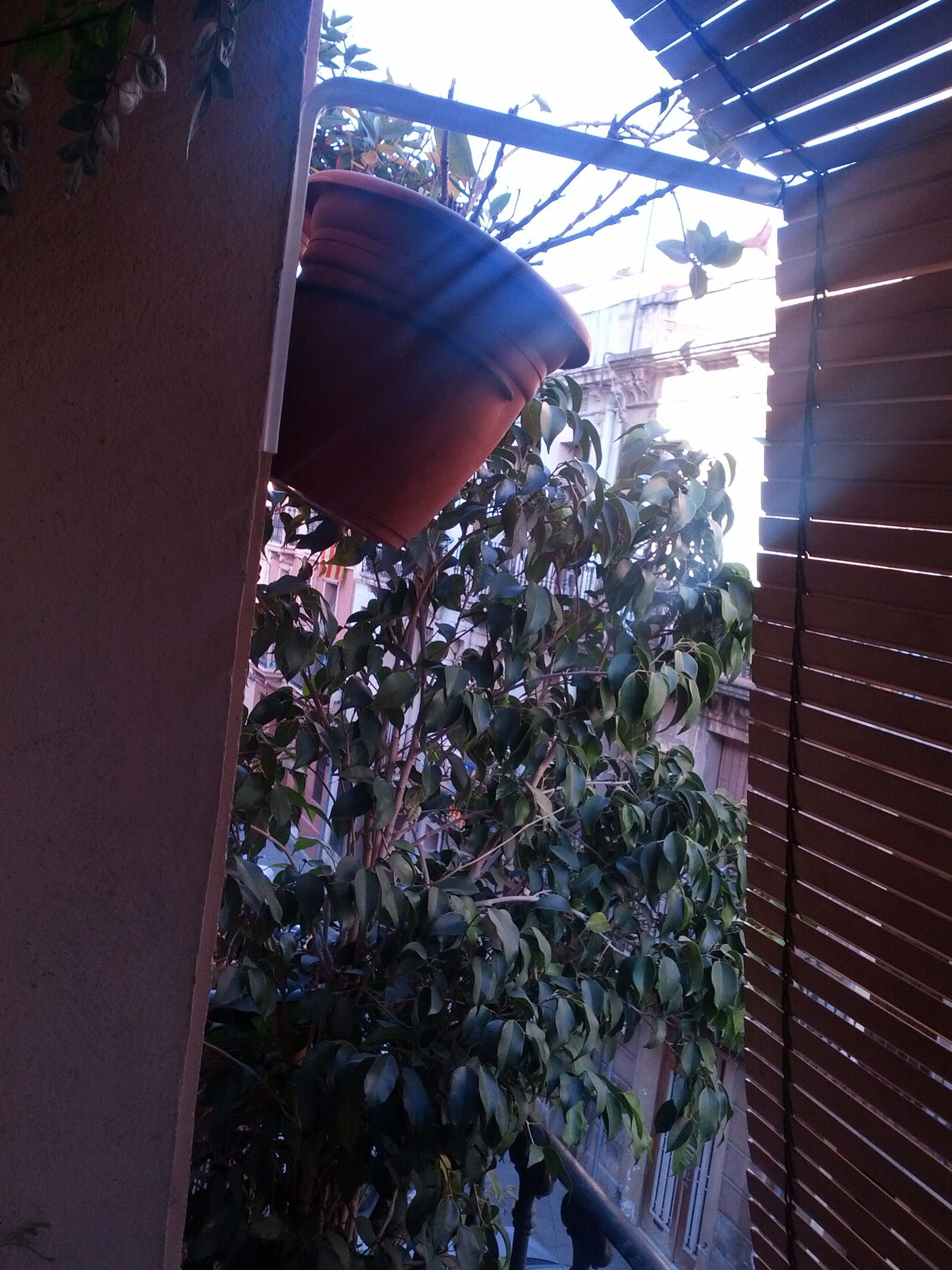 Hemvistelse Barcelona 109652