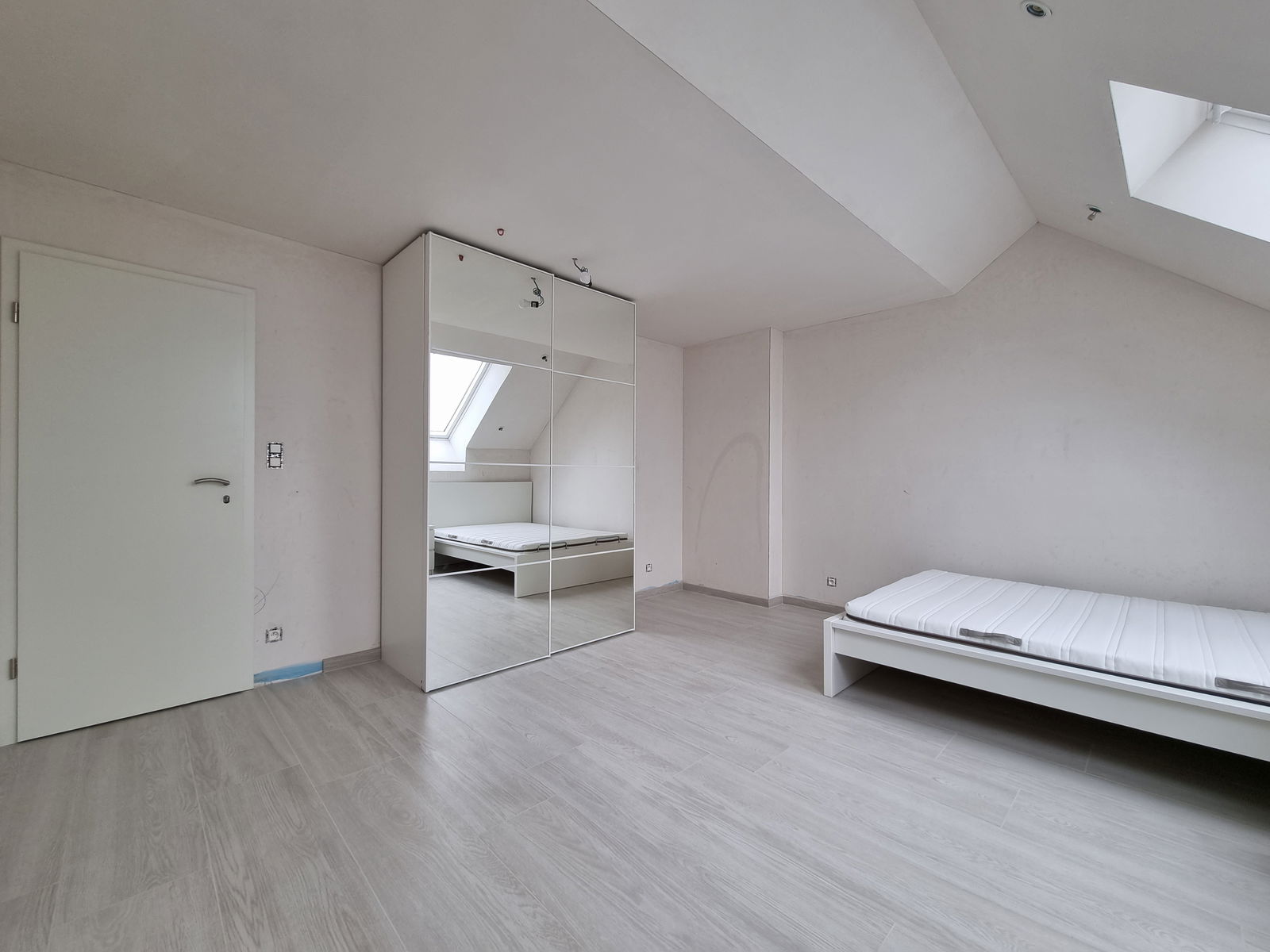 Kolokasie Arlon 257637