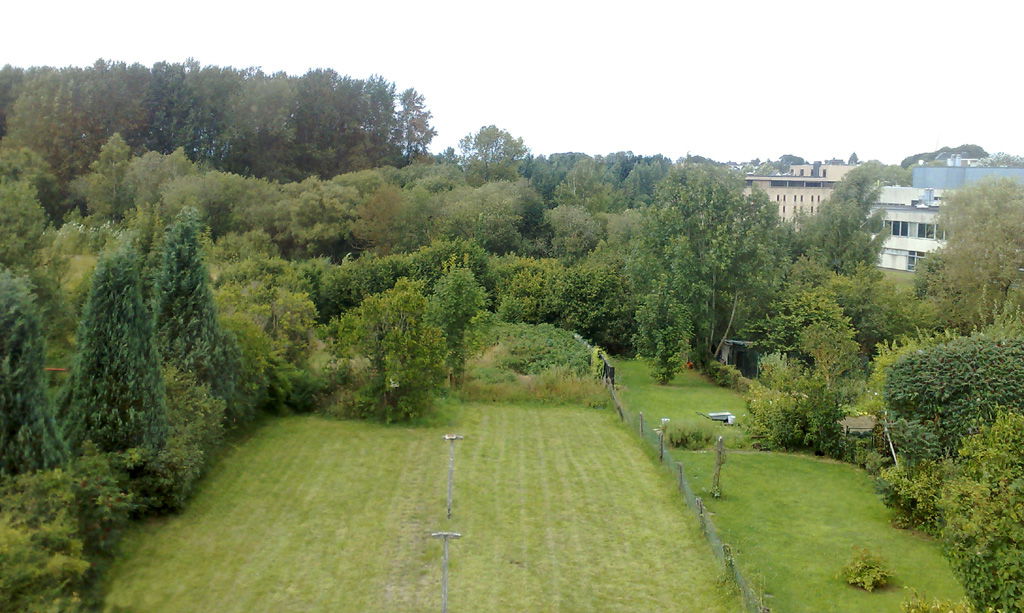 Colocation Arlon 284529
