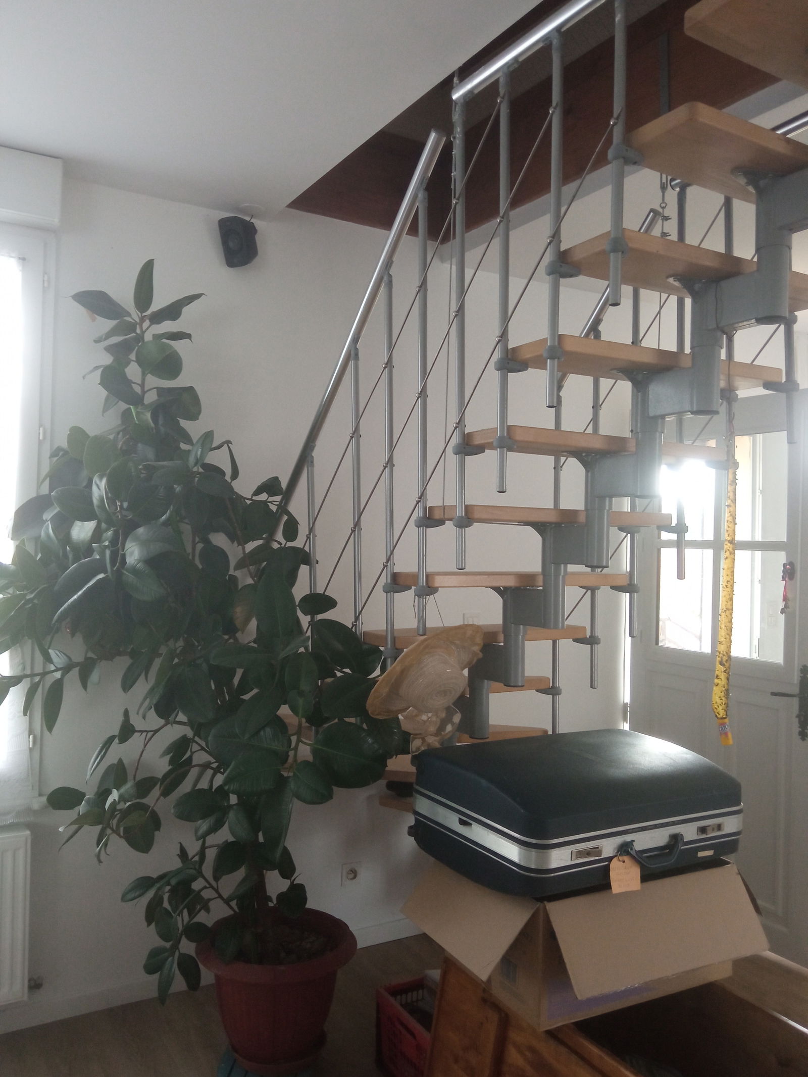 Gastfamilie Domart-sur-la-Luce 251580