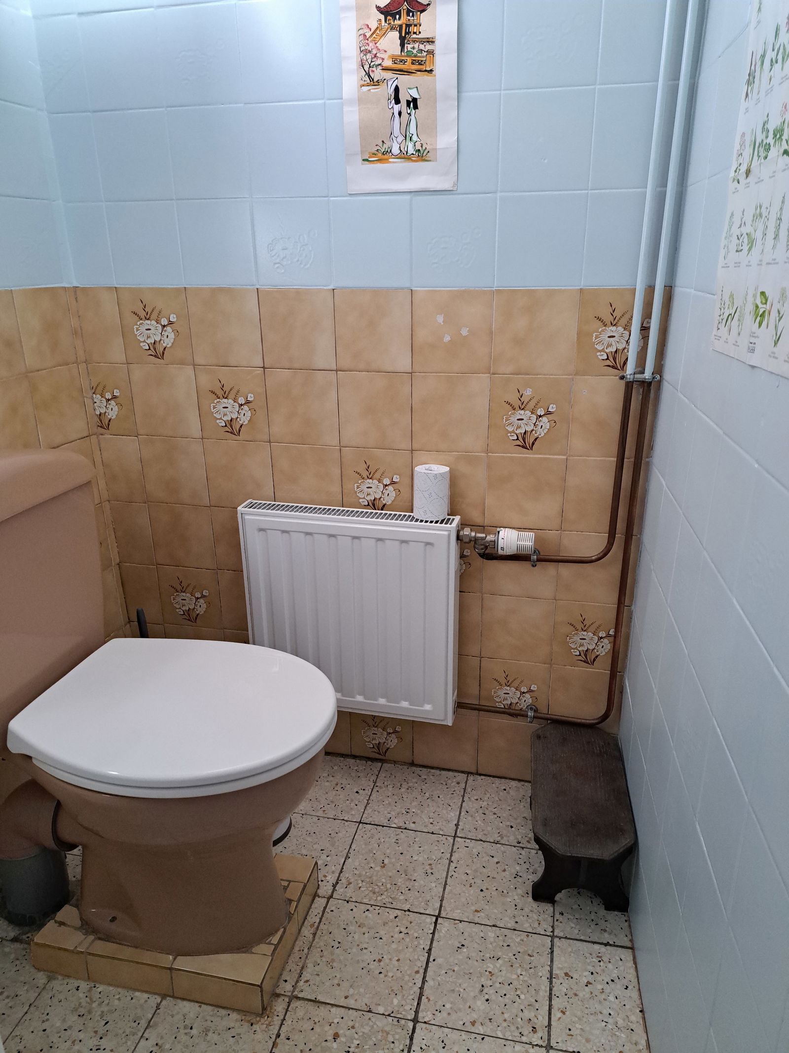 Gastfamilie Domart-sur-la-Luce 251580