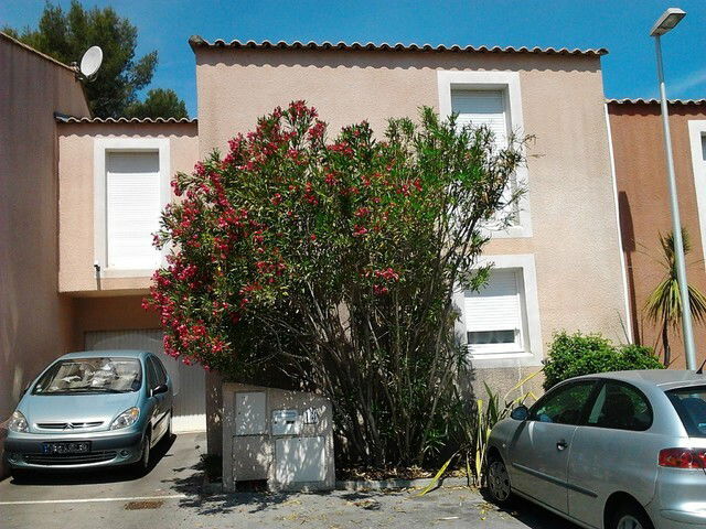 Gästrum Montpellier 38910