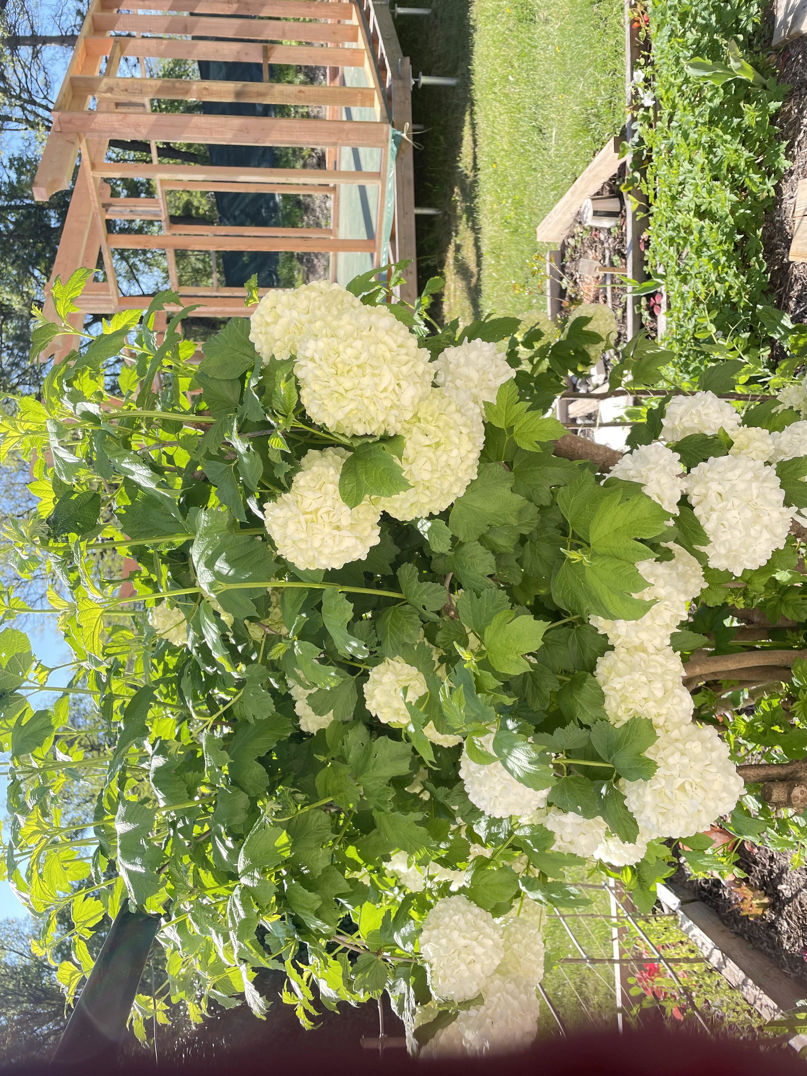 Homestay Digne-les-Bains 384735