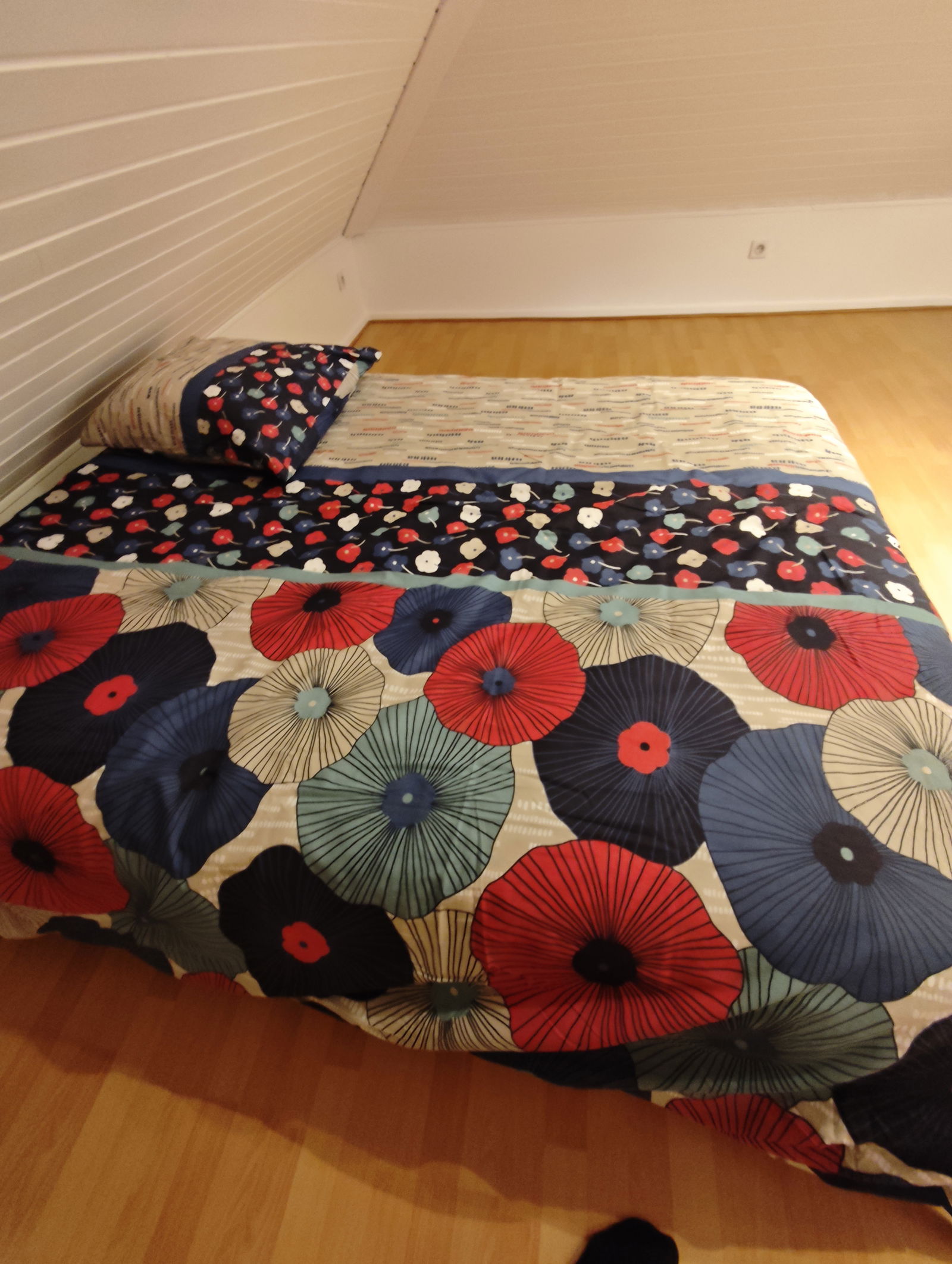 Kolokasie Saint-Louis 583033