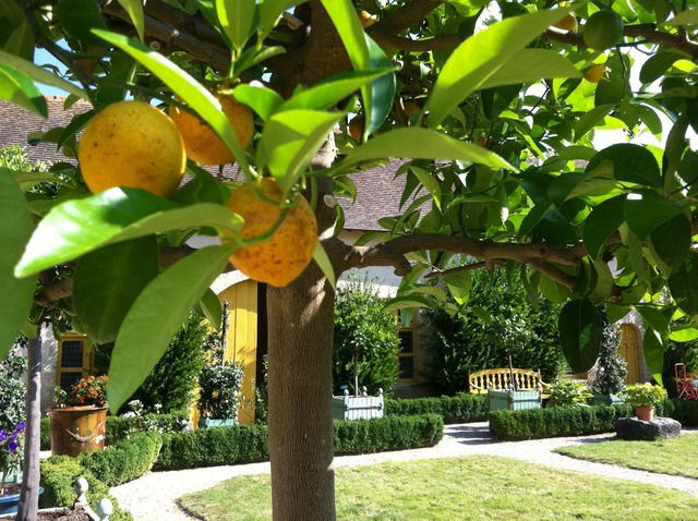 Bed And Breakfast Saint-Loup-Lamairé 39364