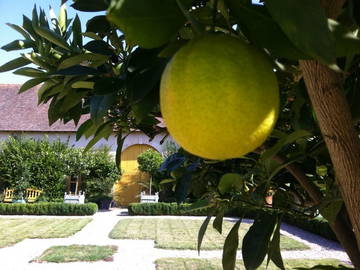 Chambre D'hôte Saint-Loup-Lamairé 39364-10