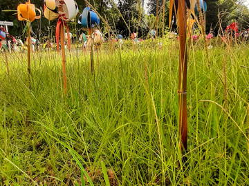 Chambre Chez L'habitant Saint-Macaire 43770-5