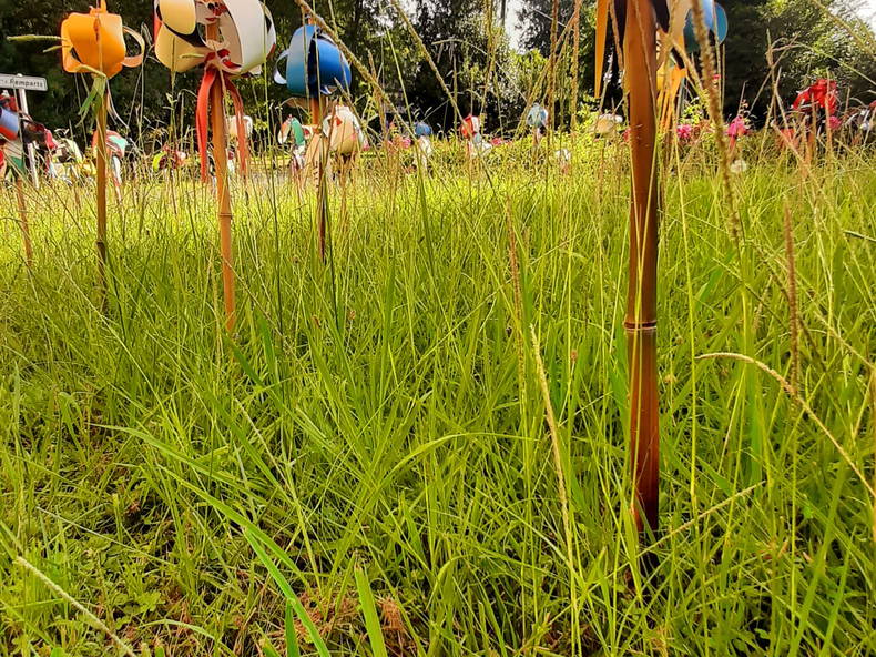 Zakwaterowanie U Rodziny Saint-Macaire 43770-5