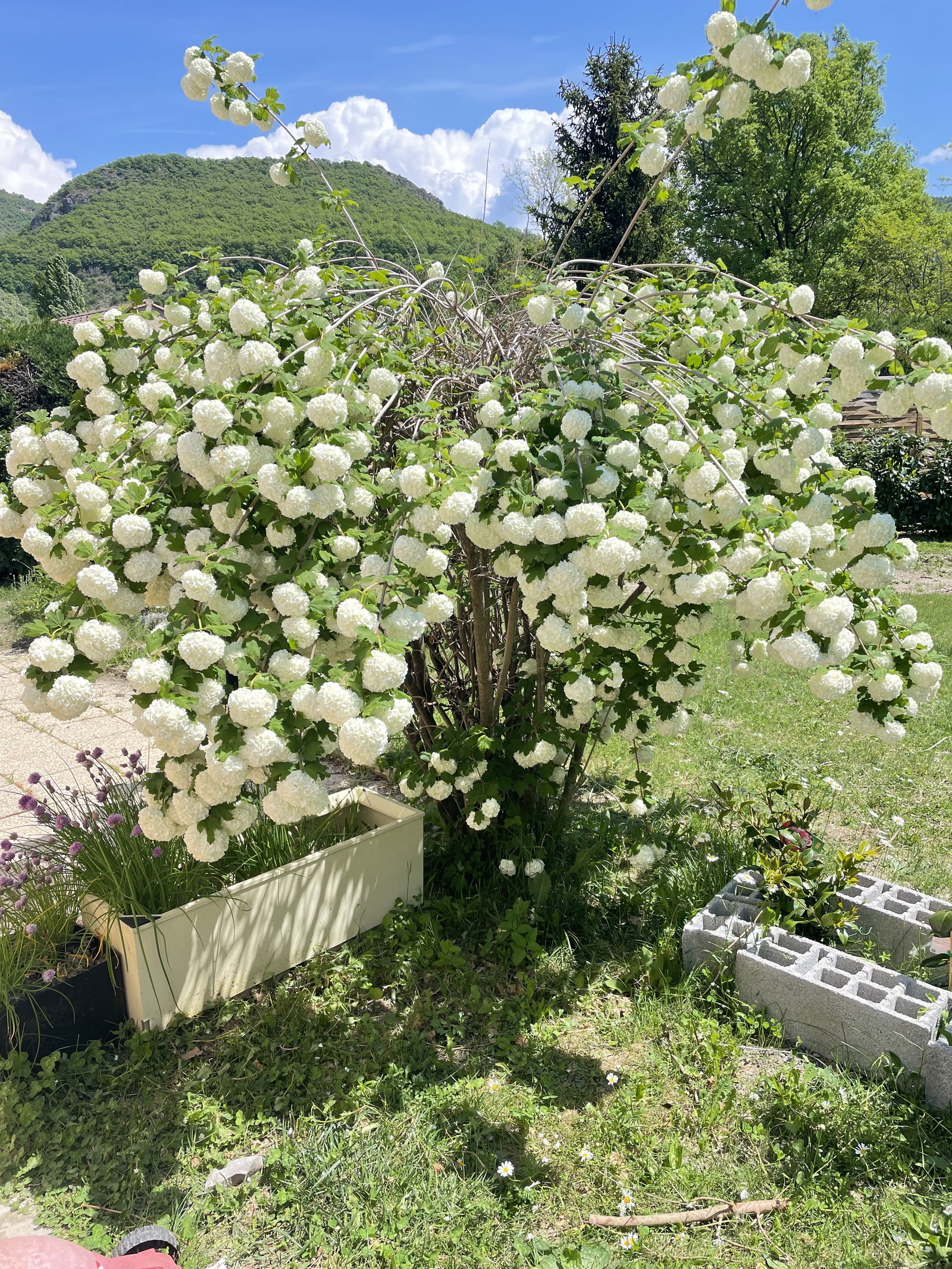 Homestay Digne-les-Bains 386621