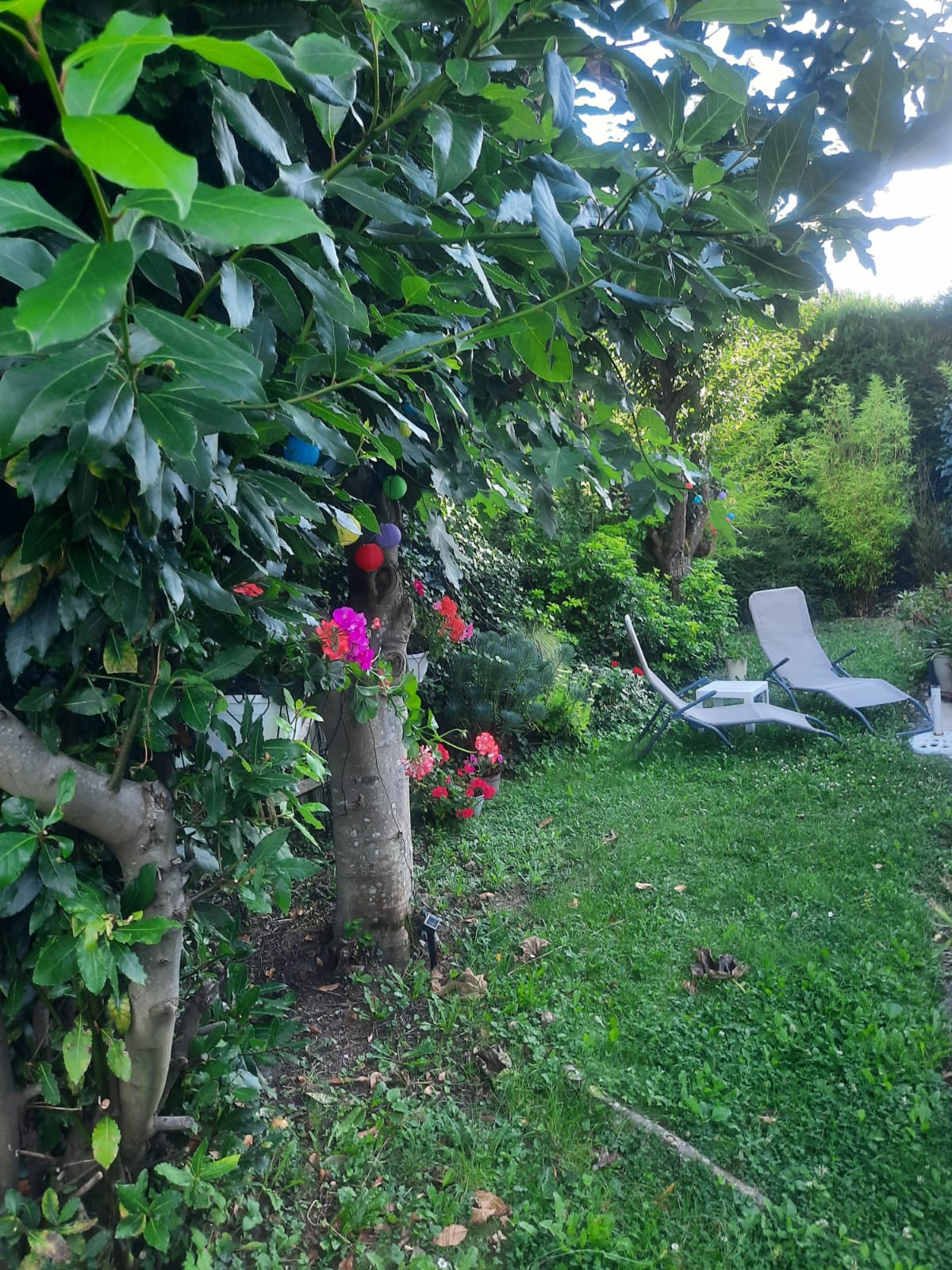 Famiglia Ennery 115969