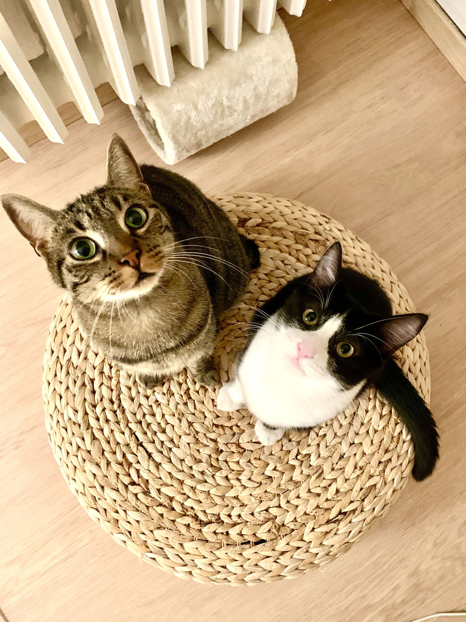 Hospedagem Em Casa De Família Seyssinet-Pariset 256161