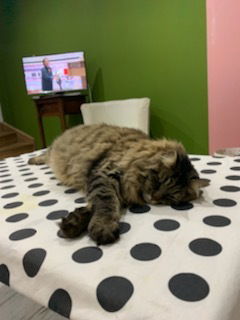 Quedarse En Casa Chaingy 87263