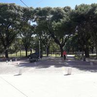 Famiglia Comuna 4 259669