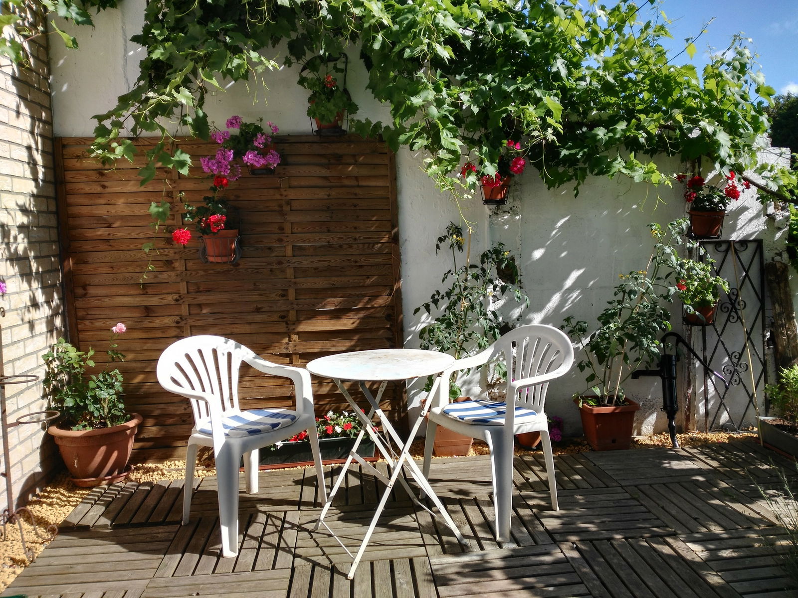 Famiglia Charleroi 216331