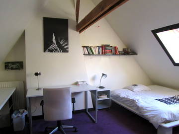 Roomlala | Sala "ZEBRE" 5' RER e lojas