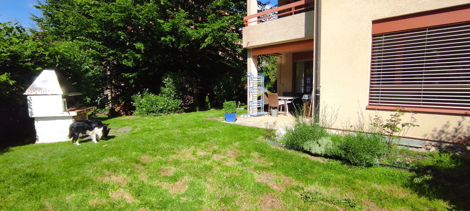 Homestay Marly 426665