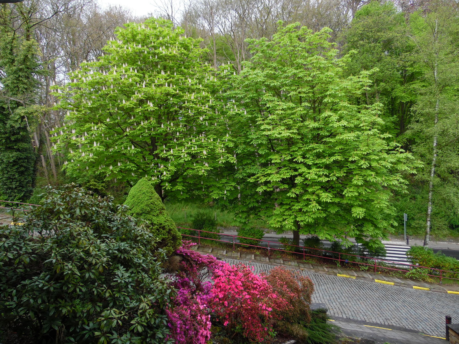 Homestay Ottignies-Louvain-la-Neuve 134890