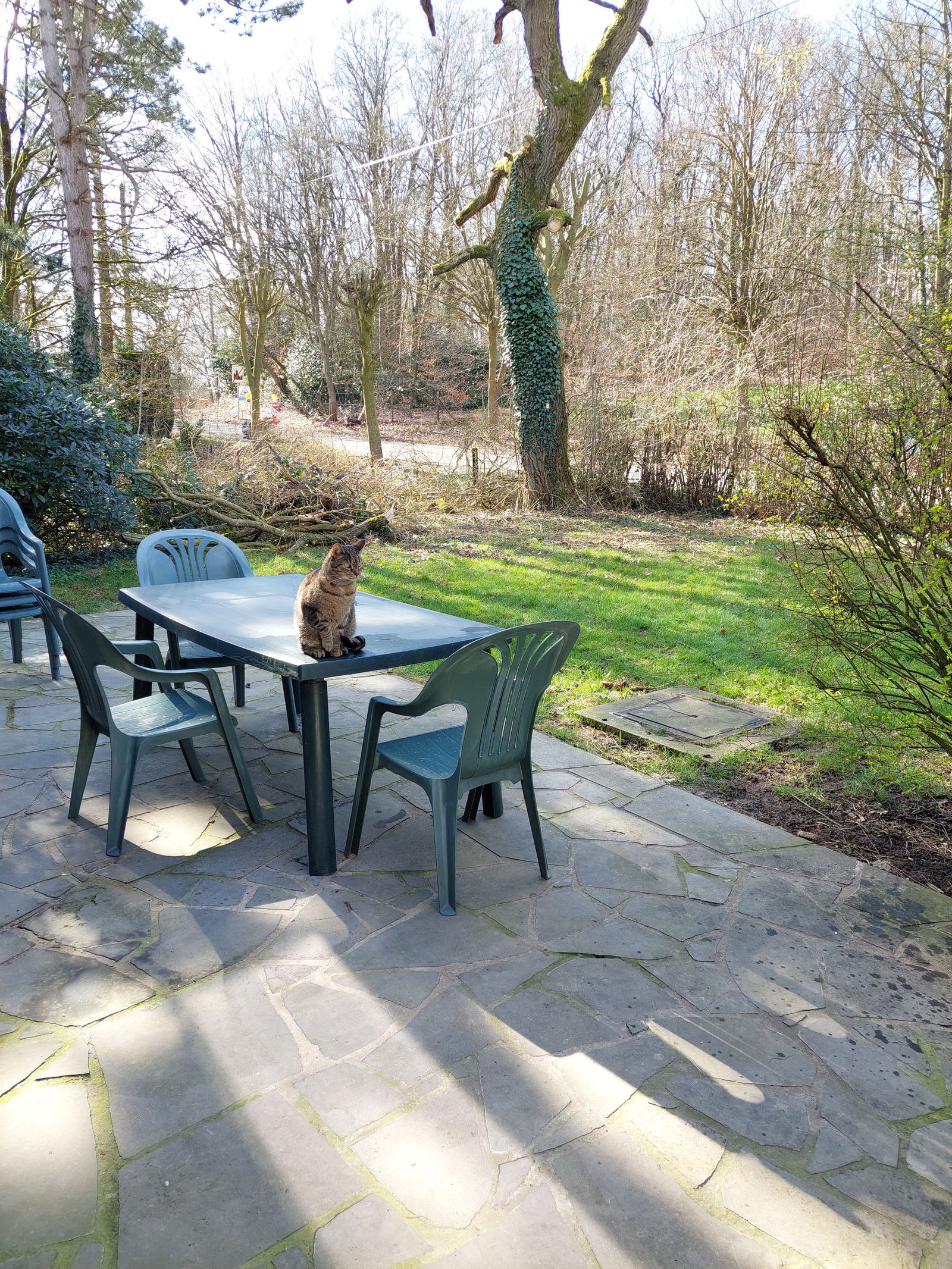 Homestay Fléron 447963