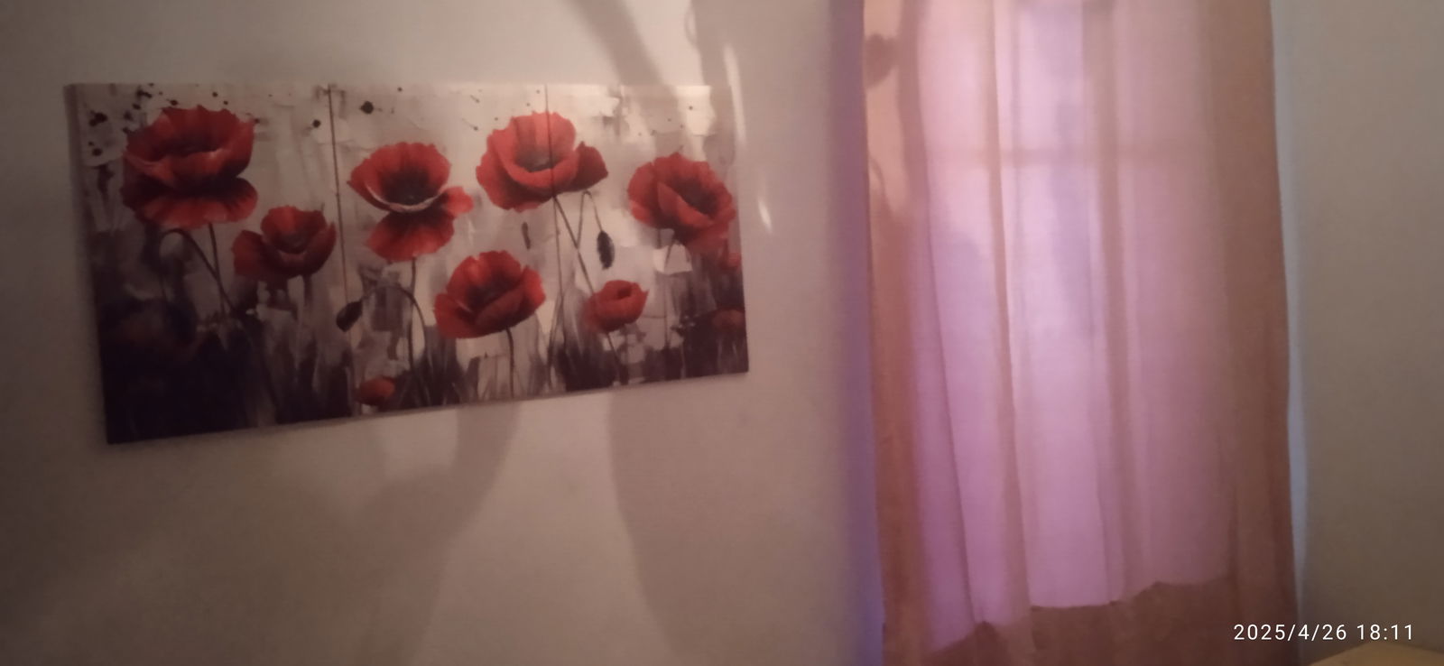 Chambre Chez L'habitant Figueres 513797