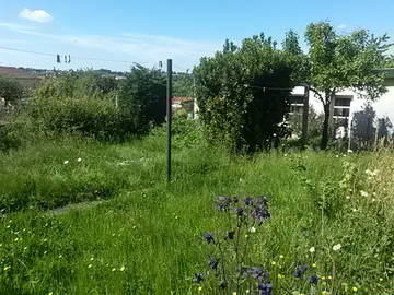 Chambre À Louer Condat-Sur-Vienne 421074