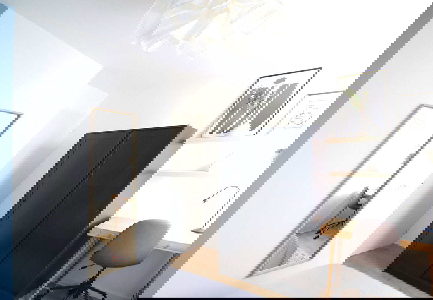 Colocación Schiltigheim 264915