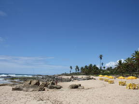 Salvador De Bahia - Chambres Tout Confort À Louer 