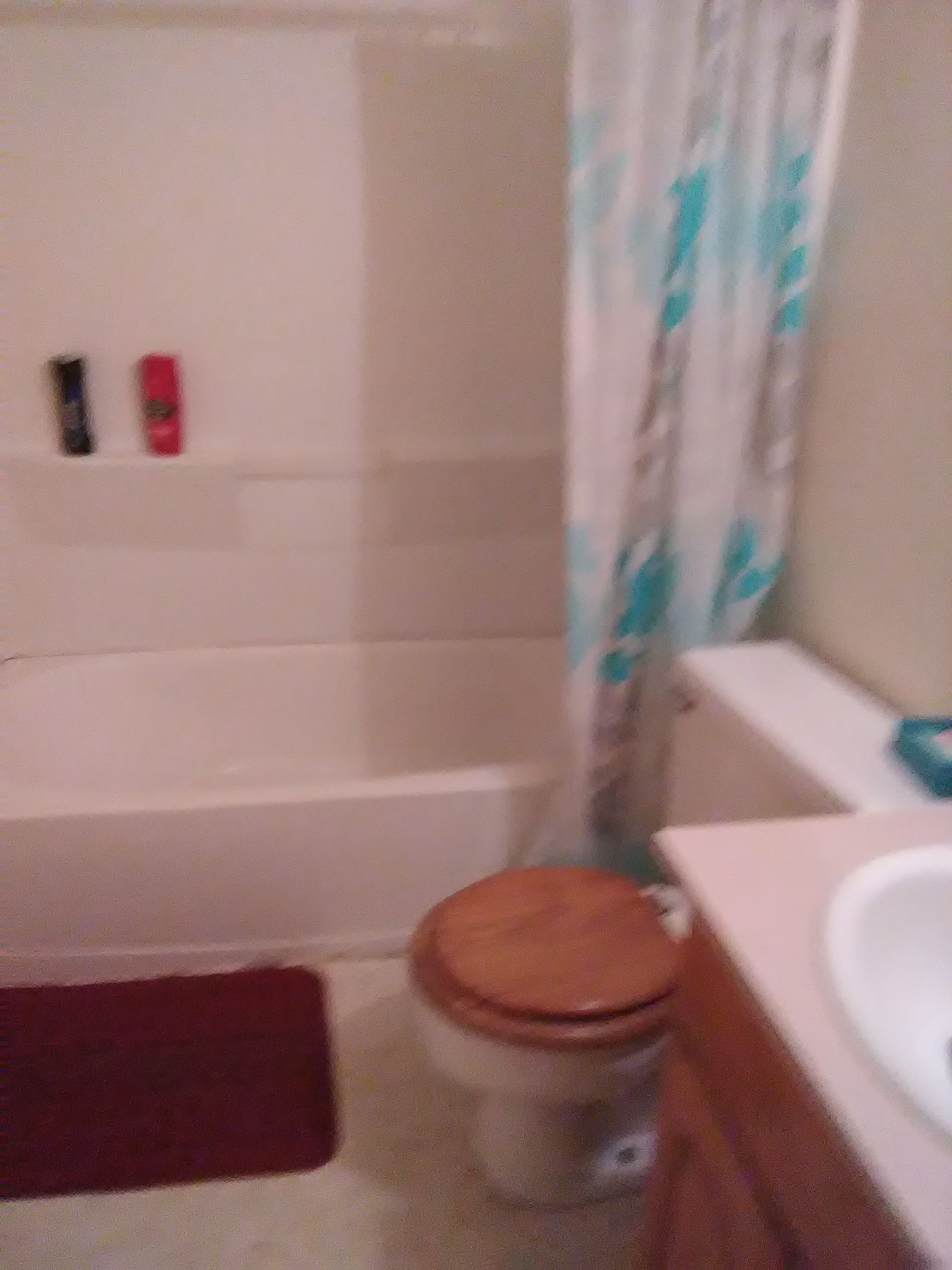 Famiglia Meadville 193661