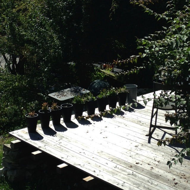 Gästezimmer Samoëns 175880