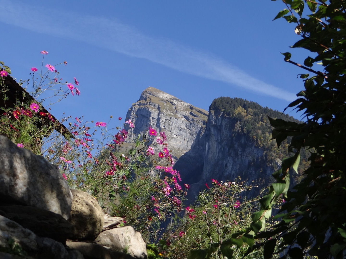 Camere Per Gli Ospiti Samoëns 175880
