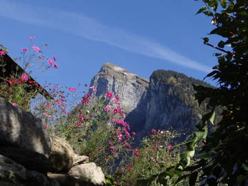 Chambre D'hôte Samoëns 175880-10