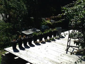 Chambre D'hôte Samoëns 175880-11