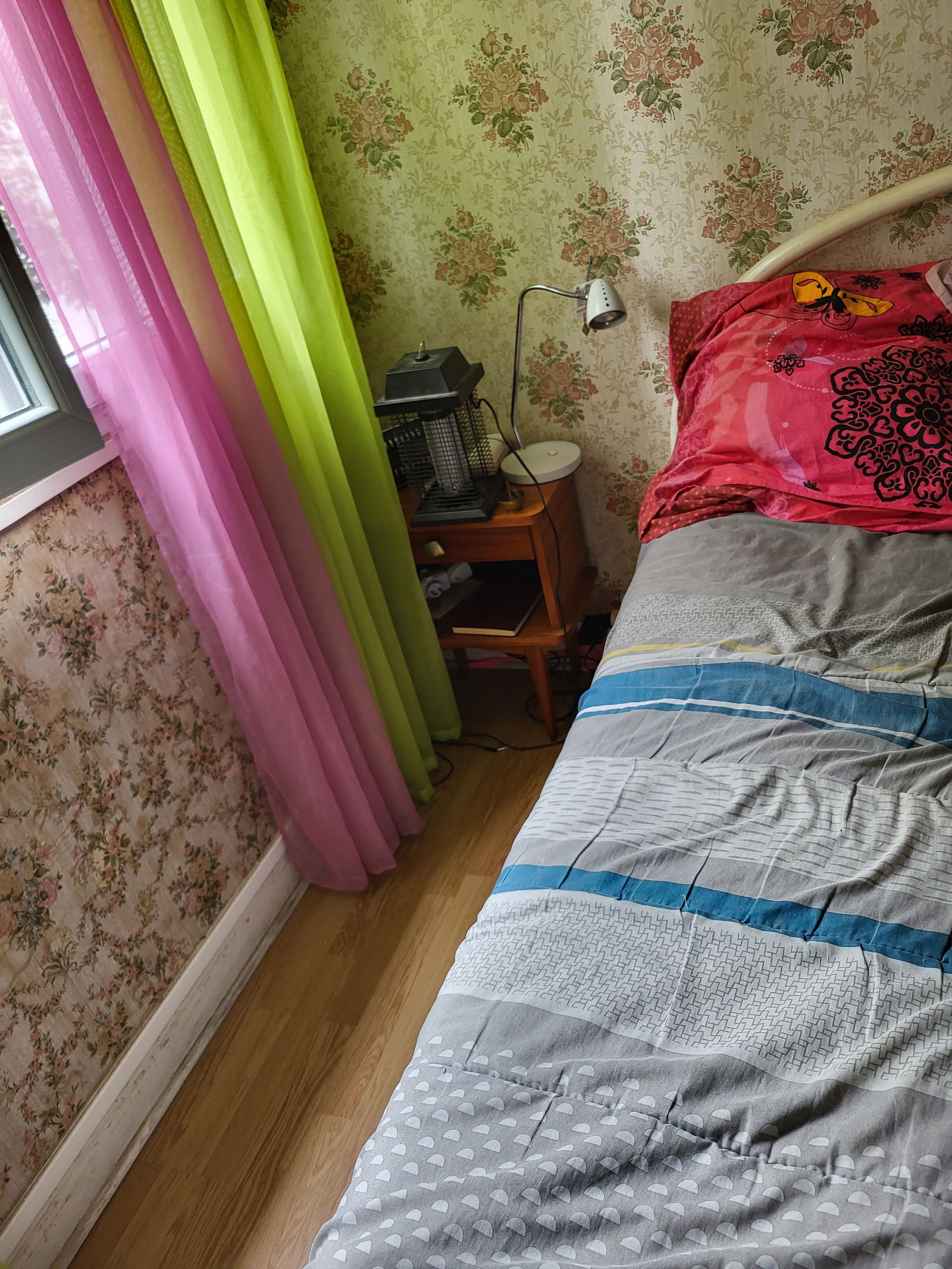 Famiglia Saint-Jean-de-Luz 396469