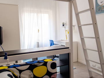 Room For Rent Roma 235979