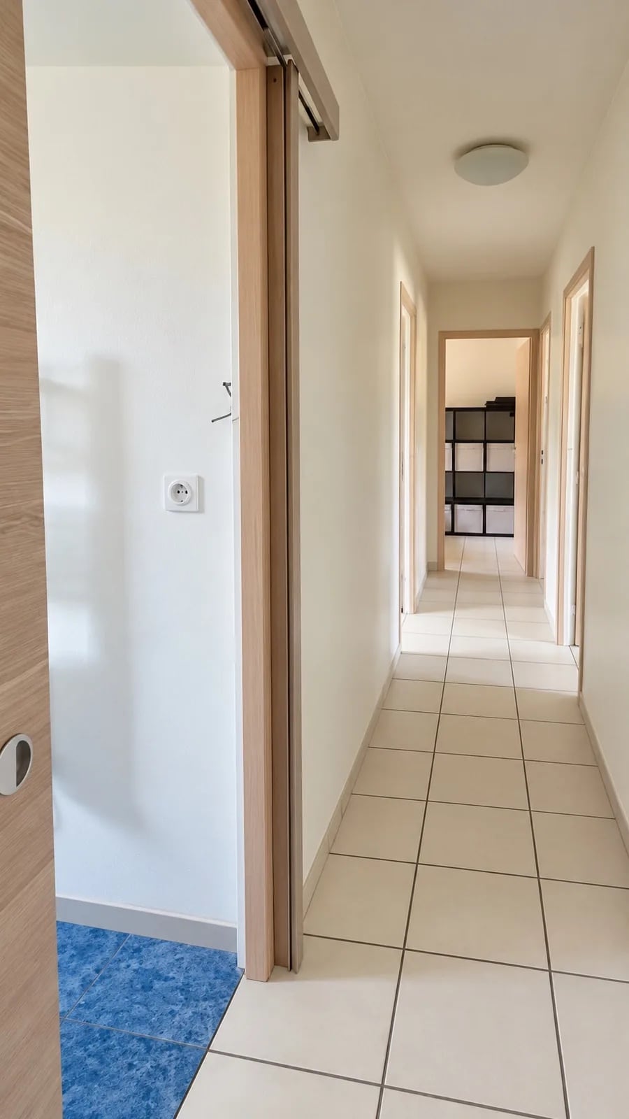 Colocation Saint-Savin 676964