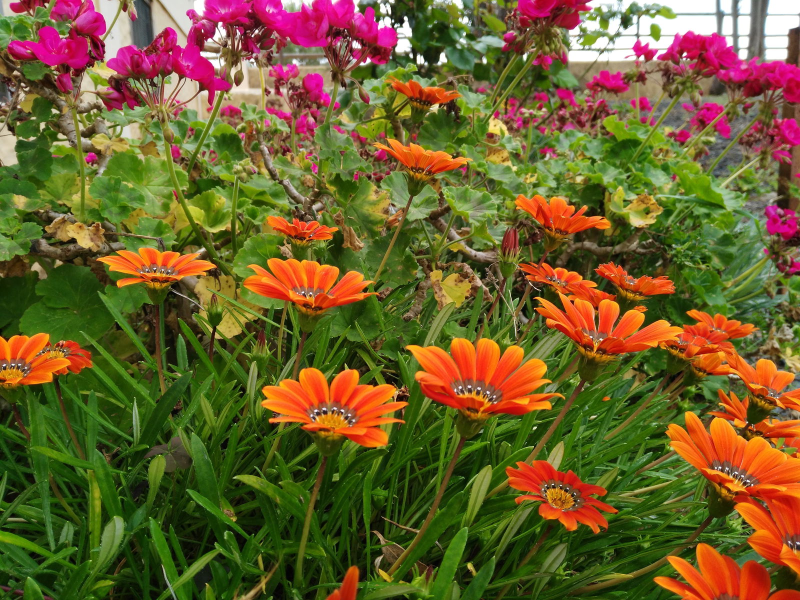 Tutta La Casa Calañas 257028